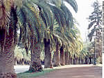 Parque General San Martín de Mendoza