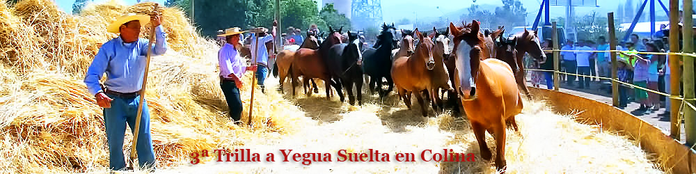 Reportajes fotográficos: 3ª Trilla a Yegua Suelta en Colina