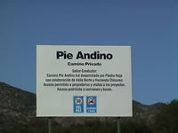 001_pie_andino_b.JPG (18kb)