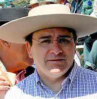 Alcalde Olavarría