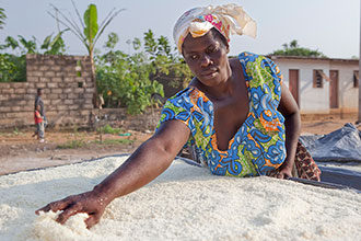 Una mujer rural prepara el camote para vender en Assouba, Côte d' Ivoire.